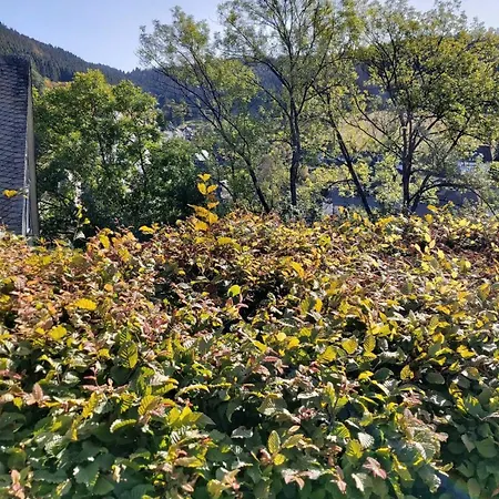 Apartment Ferienwohnung-wilmes Winterberg