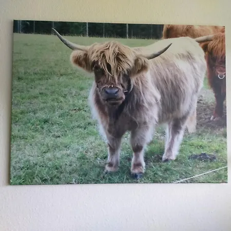 Ferienwohnung-wilmes *