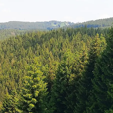 Ferienwohnung-wilmes Apartamento Winterberg