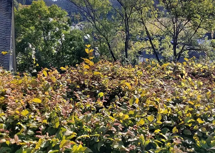 アパート Ferienwohnung-wilmes ヴィンターベルク