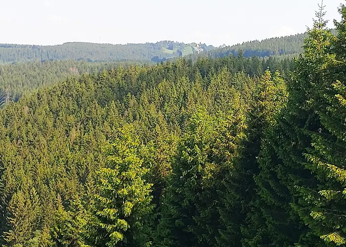 Ferienwohnung-wilmes Lägenhet Winterberg